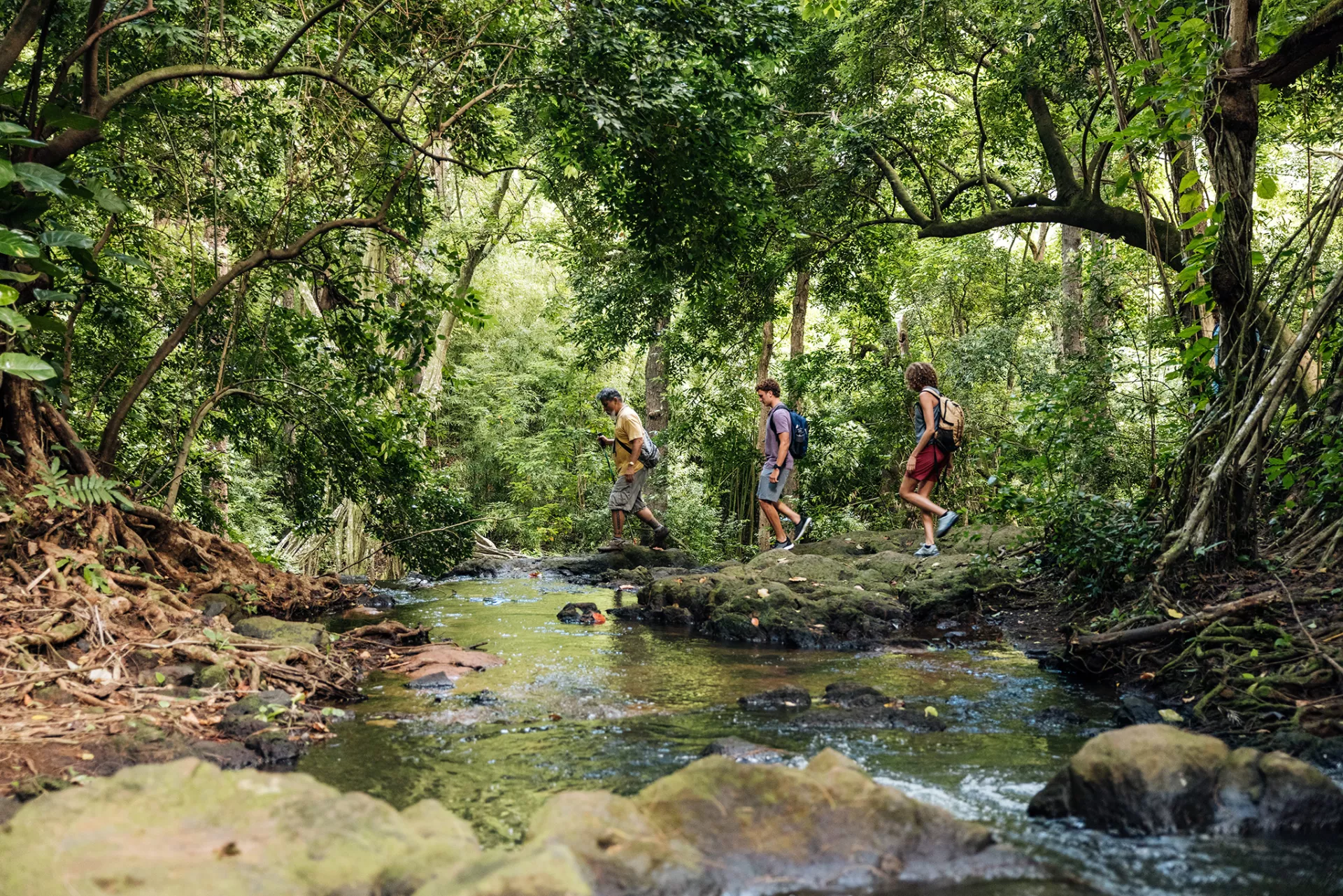 Rick Barboza of Papahana Kuaola takes volunteers with masks across a stream